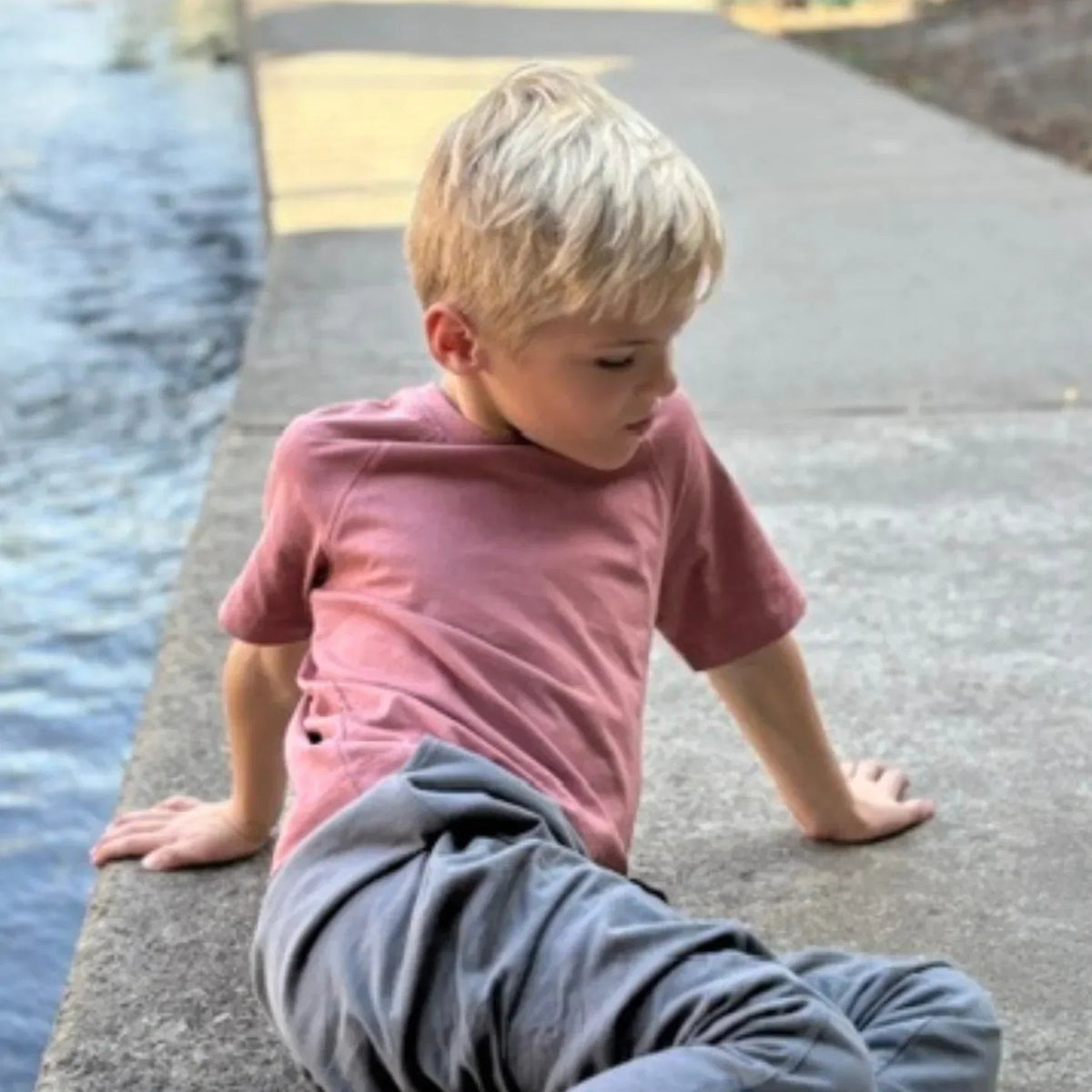Organic Cotton Raglan T-Shirt - Various Colors