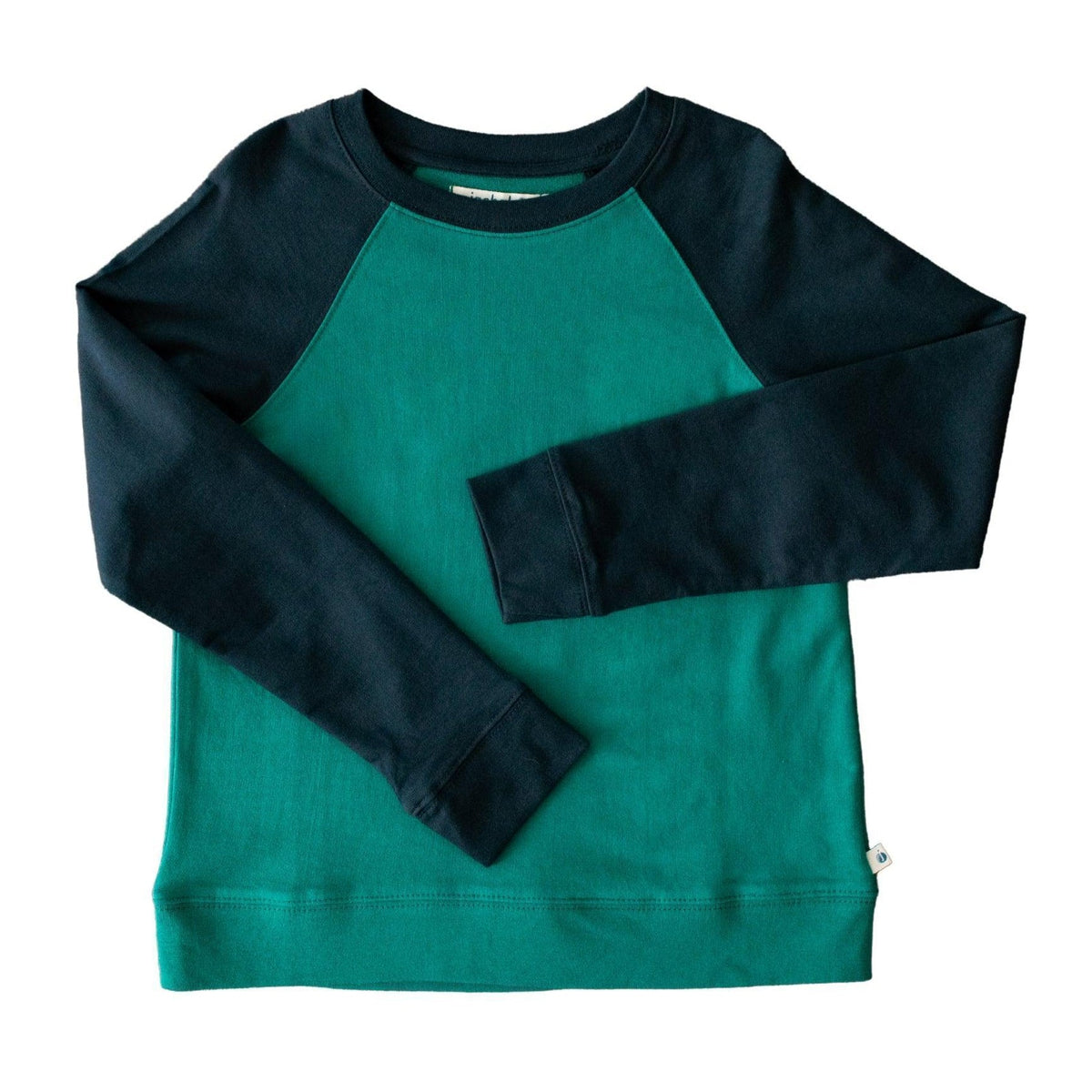 Organic Cotton Color Block Raglan Sweatshirt