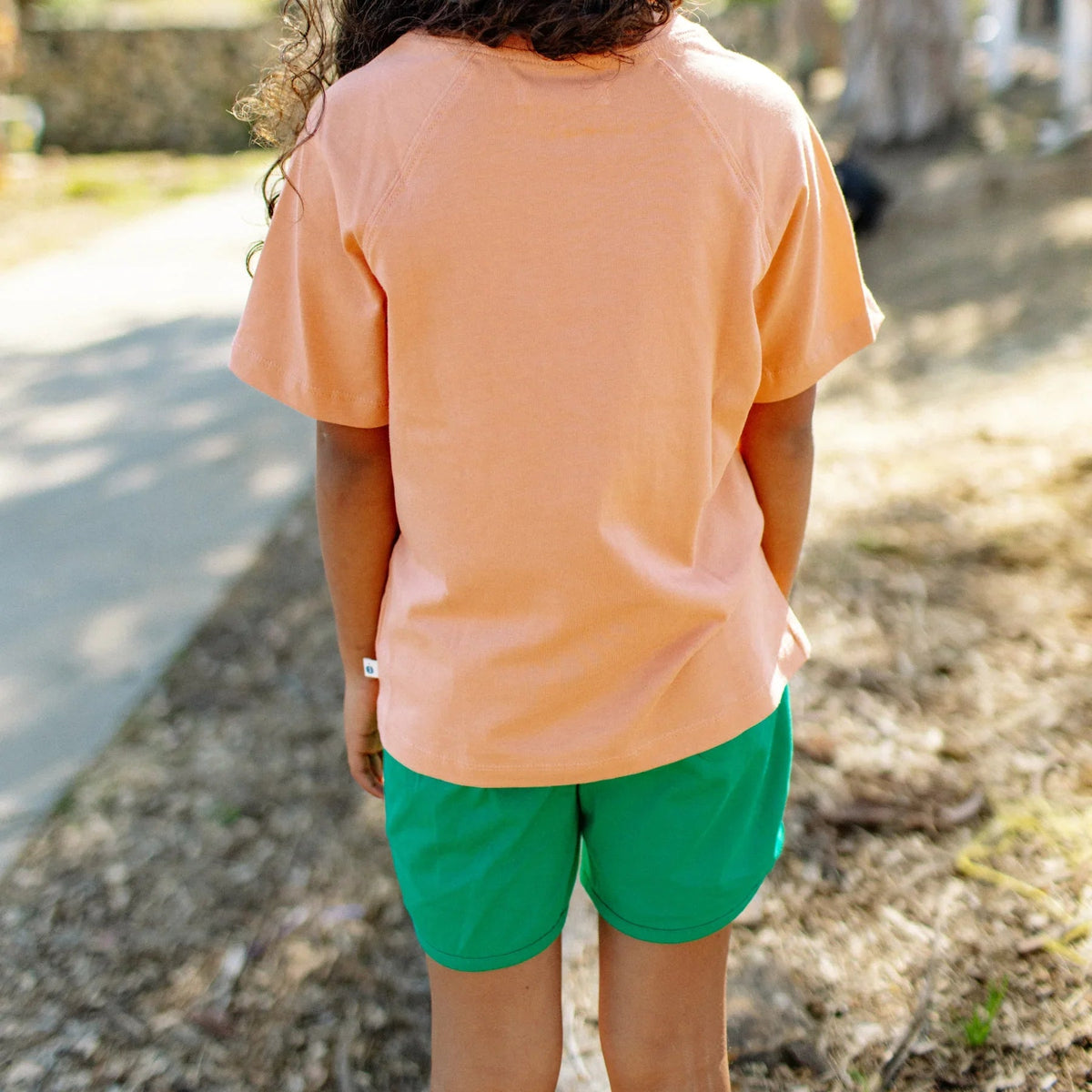 Organic Cotton Running Shorts - Various Colors